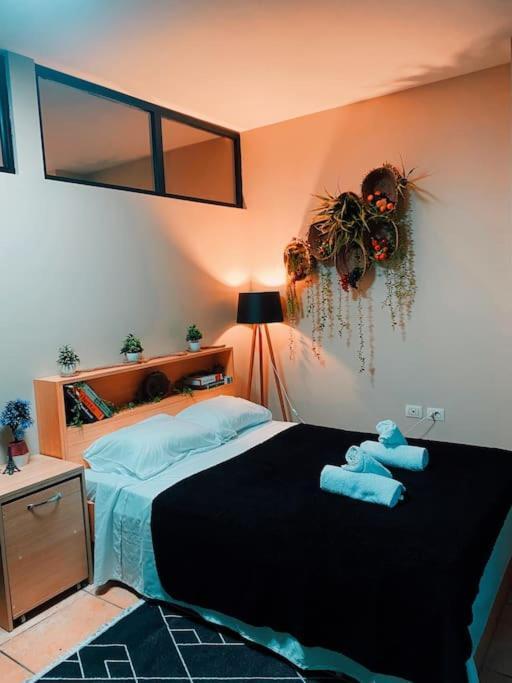 City Central Amazona Appartment Tirana Kültér fotó